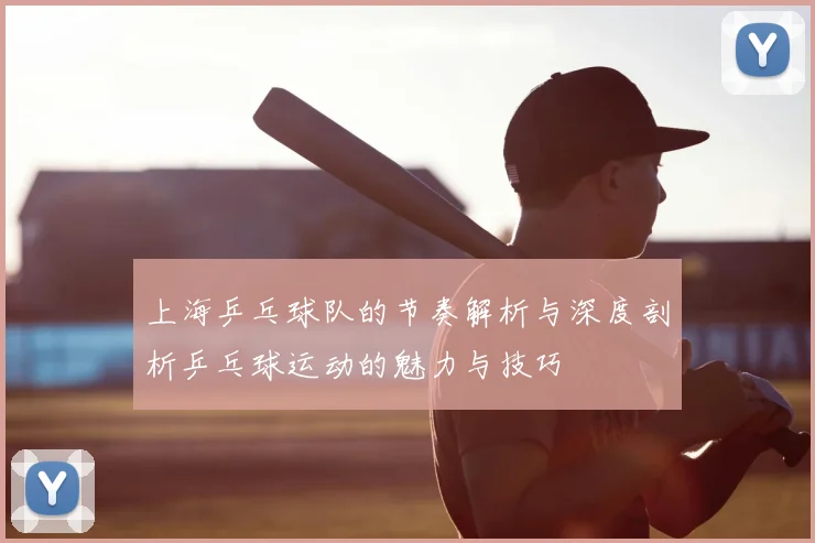 上海乒乓球队的节奏解析与深度剖析乒乓球运动的魅力与技巧