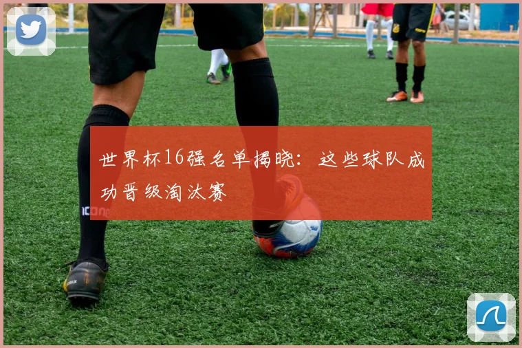 世界杯16强名单揭晓:这些球队成功晋级淘汰赛