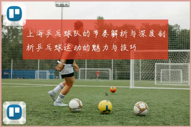 上海乒乓球队的节奏解析与深度剖析乒乓球运动的魅力与技巧