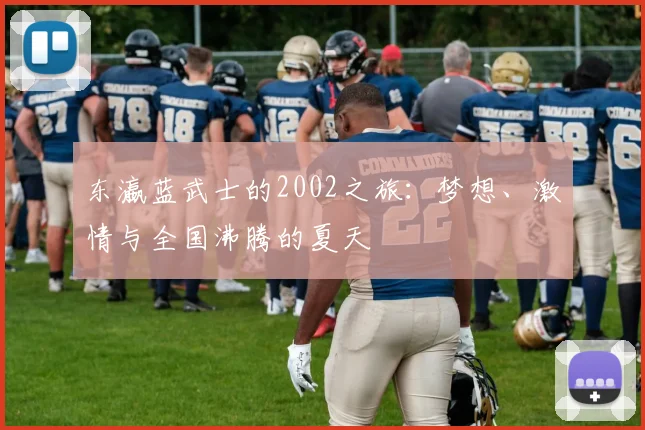 东瀛蓝武士的2002之旅：梦想、激情与全国沸腾的夏天