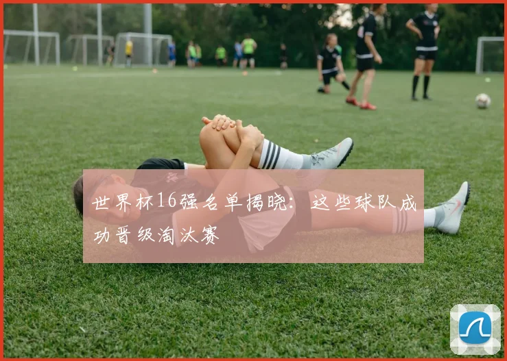世界杯16强名单揭晓:这些球队成功晋级淘汰赛