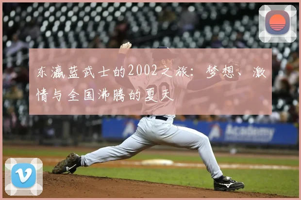 东瀛蓝武士的2002之旅：梦想、激情与全国沸腾的夏天